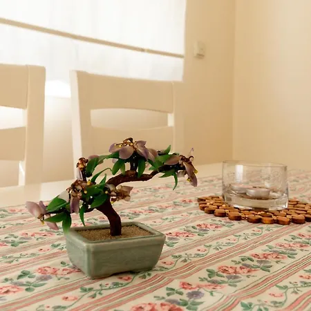Banana Apartment Marbella